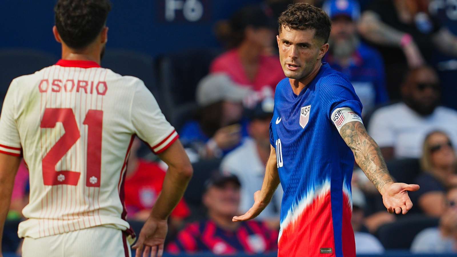 夺得了这项 夺得了这项