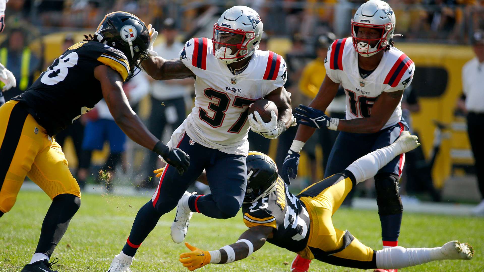 特这样的球 特这样的球